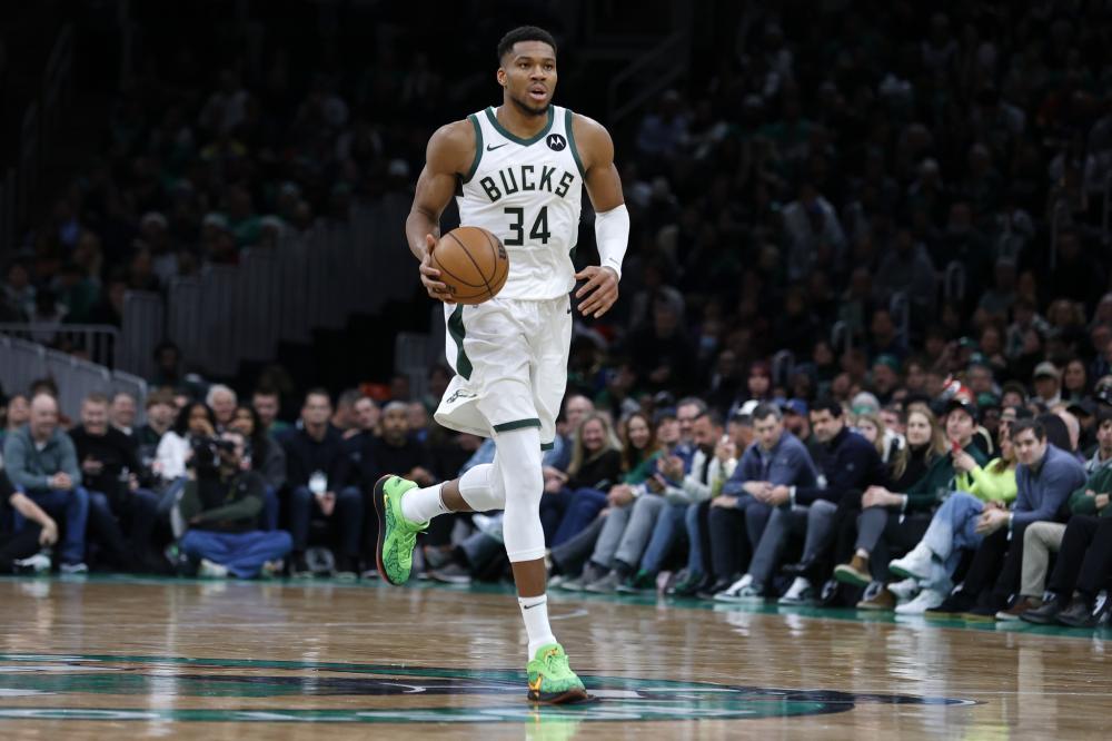 苍蝇落在球 苍蝇落在球