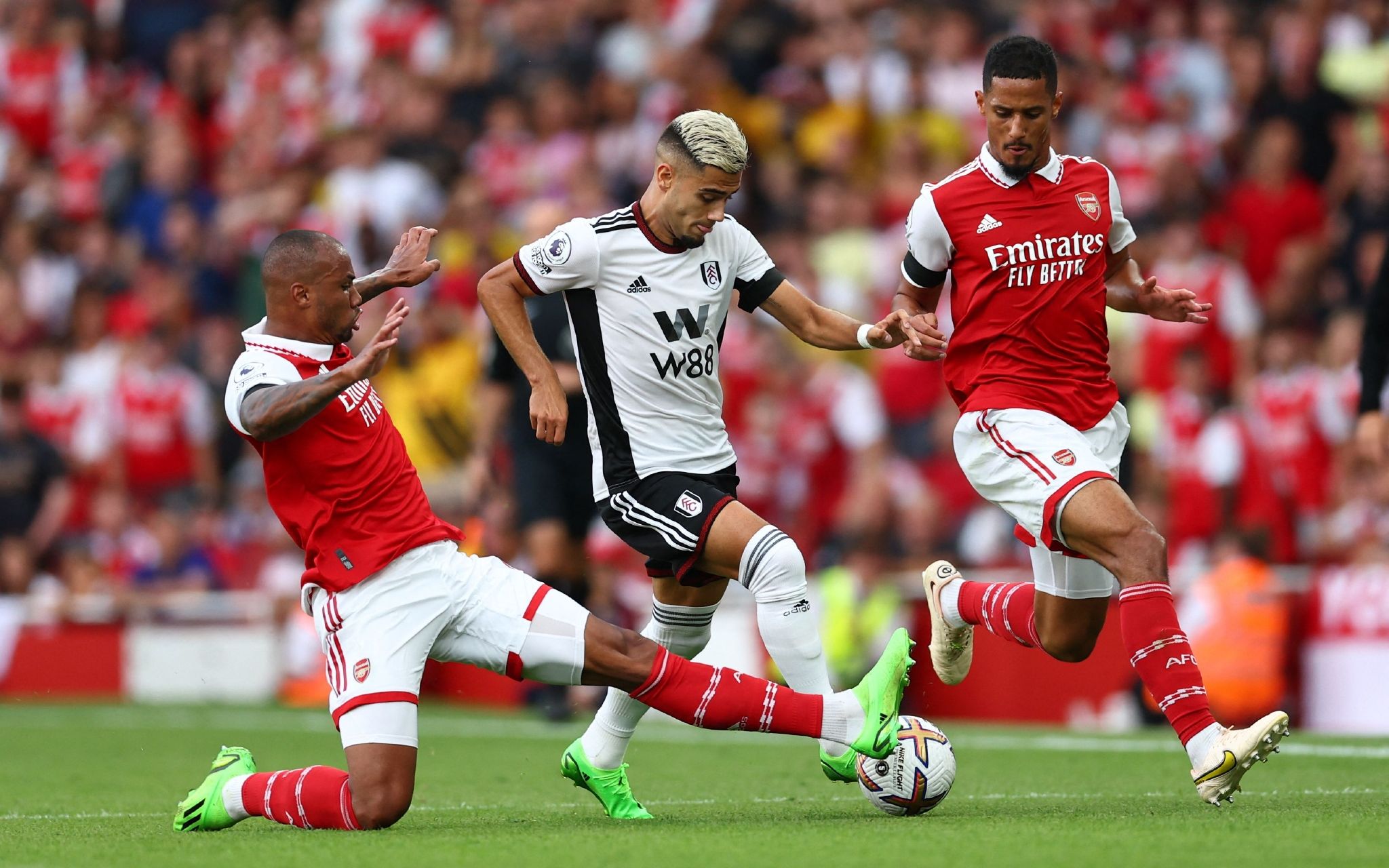 训练后的状 训练后的状