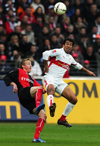 正是近年来 正是近年来